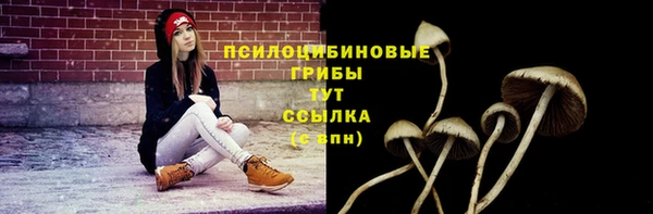 a pvp Михайлов