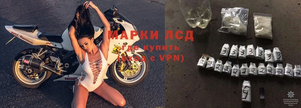 амф Михайловск